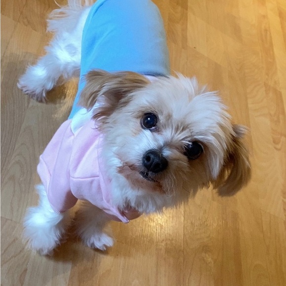 CASSIEJAEE IS LIVE!! COME JOIN ❤️🦋 - Picture 15 of 15